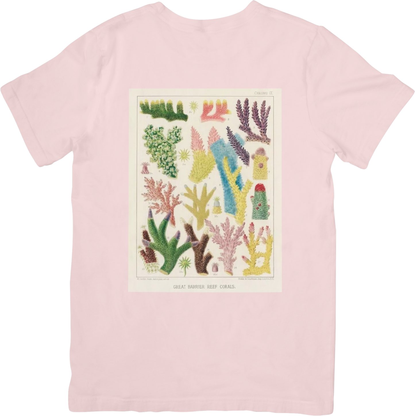 CORAL ONE TEE LITTLEBYRD