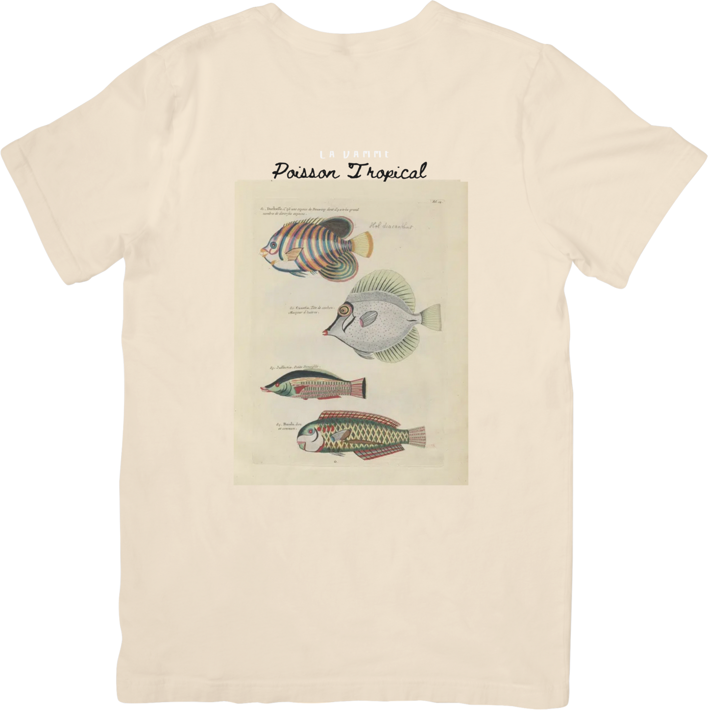 🐟LE FISH THREE TEE