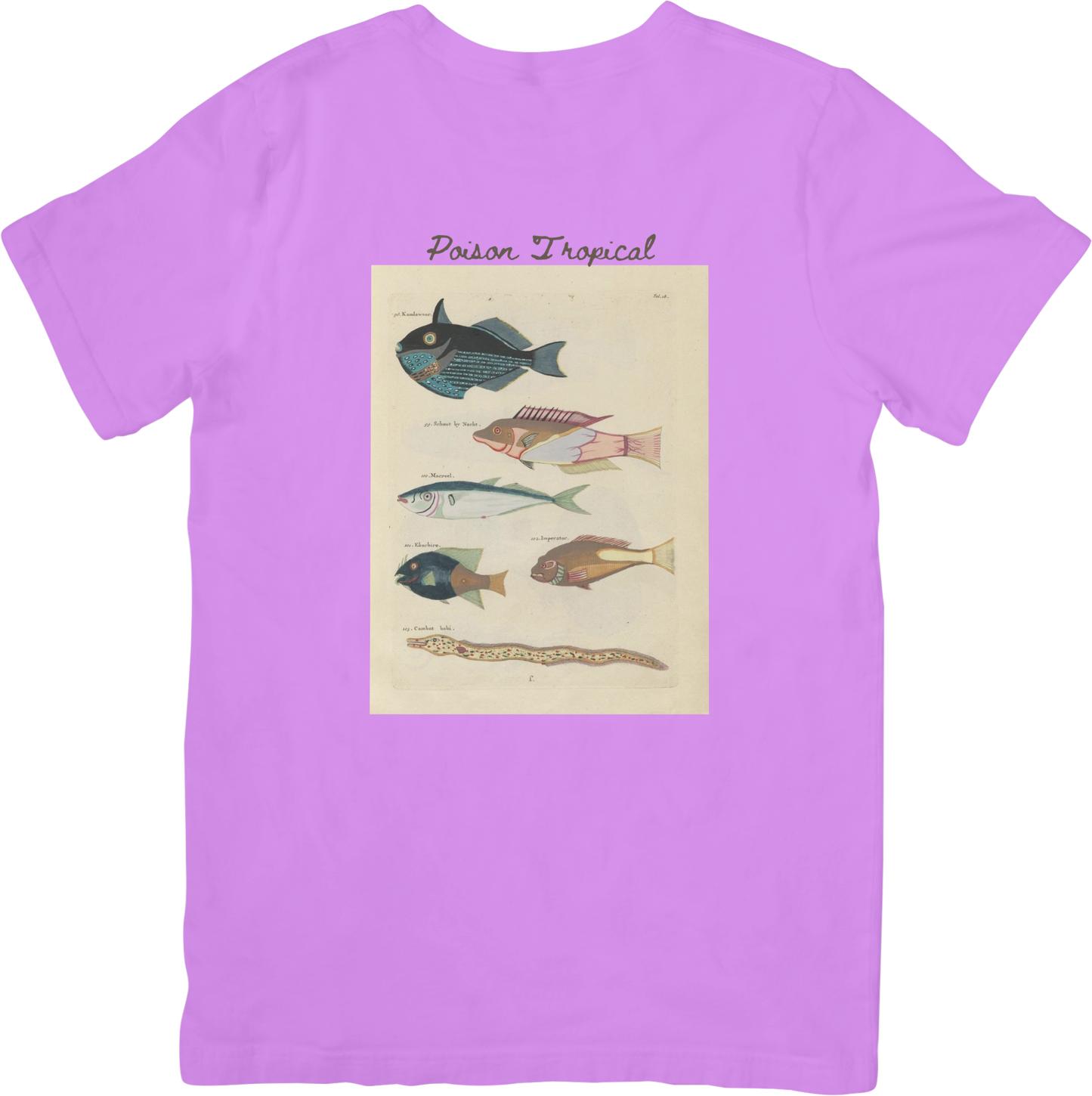 🐡LE FISH ONE TEE