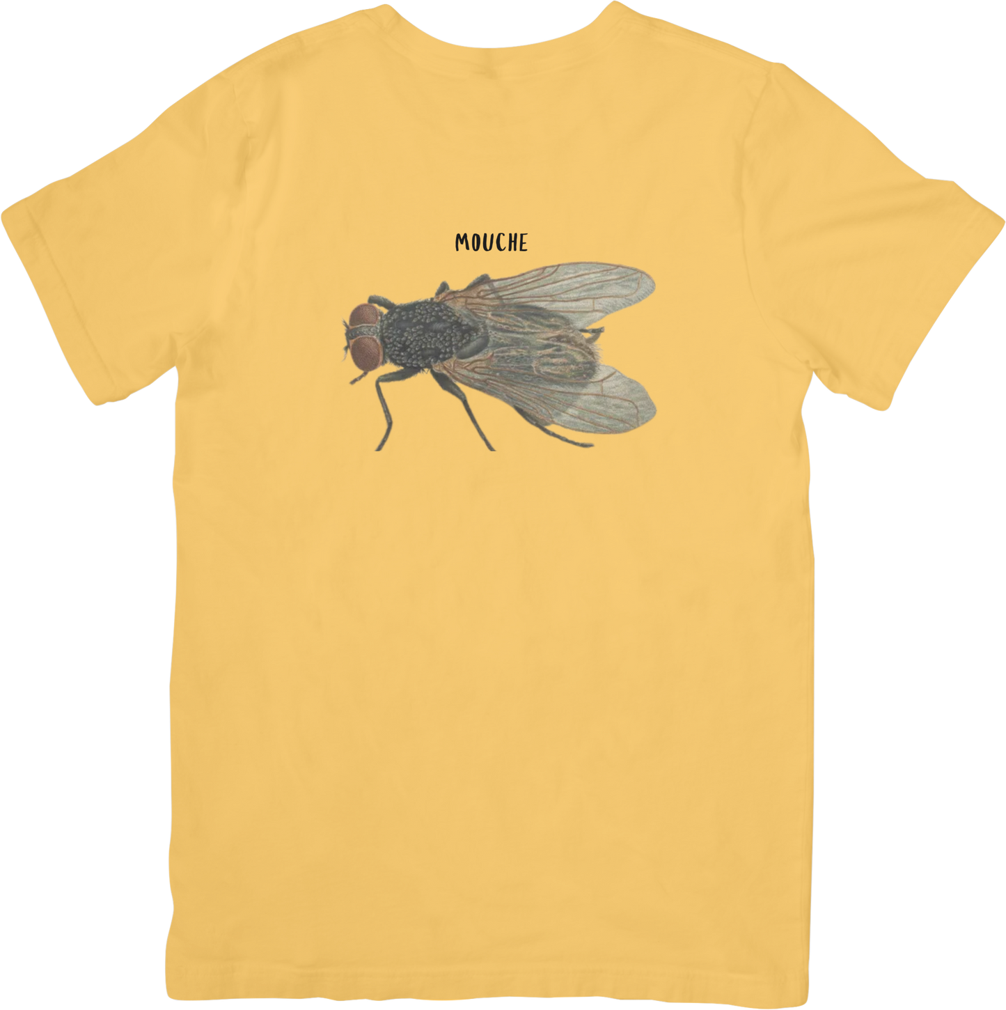🪰LE FLY TEE