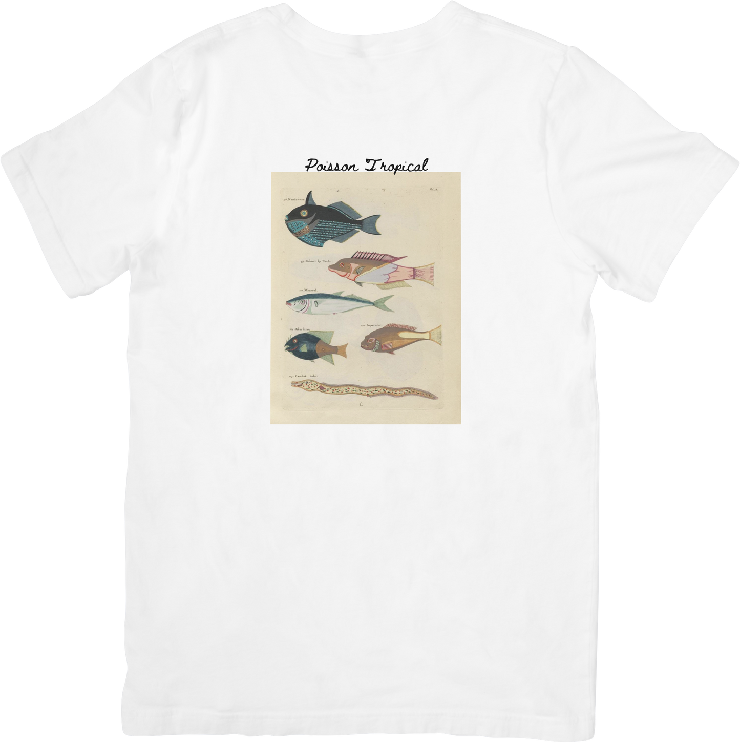 LE FISH TEE