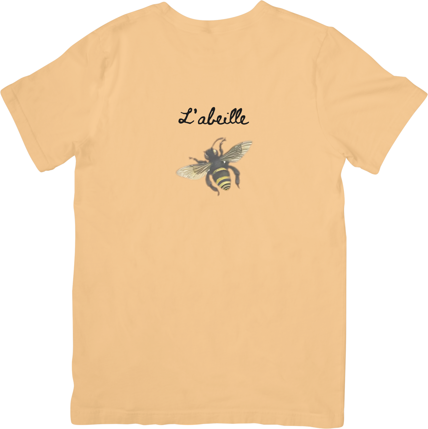 🐝LE BEE TEE LITTLEBYRD