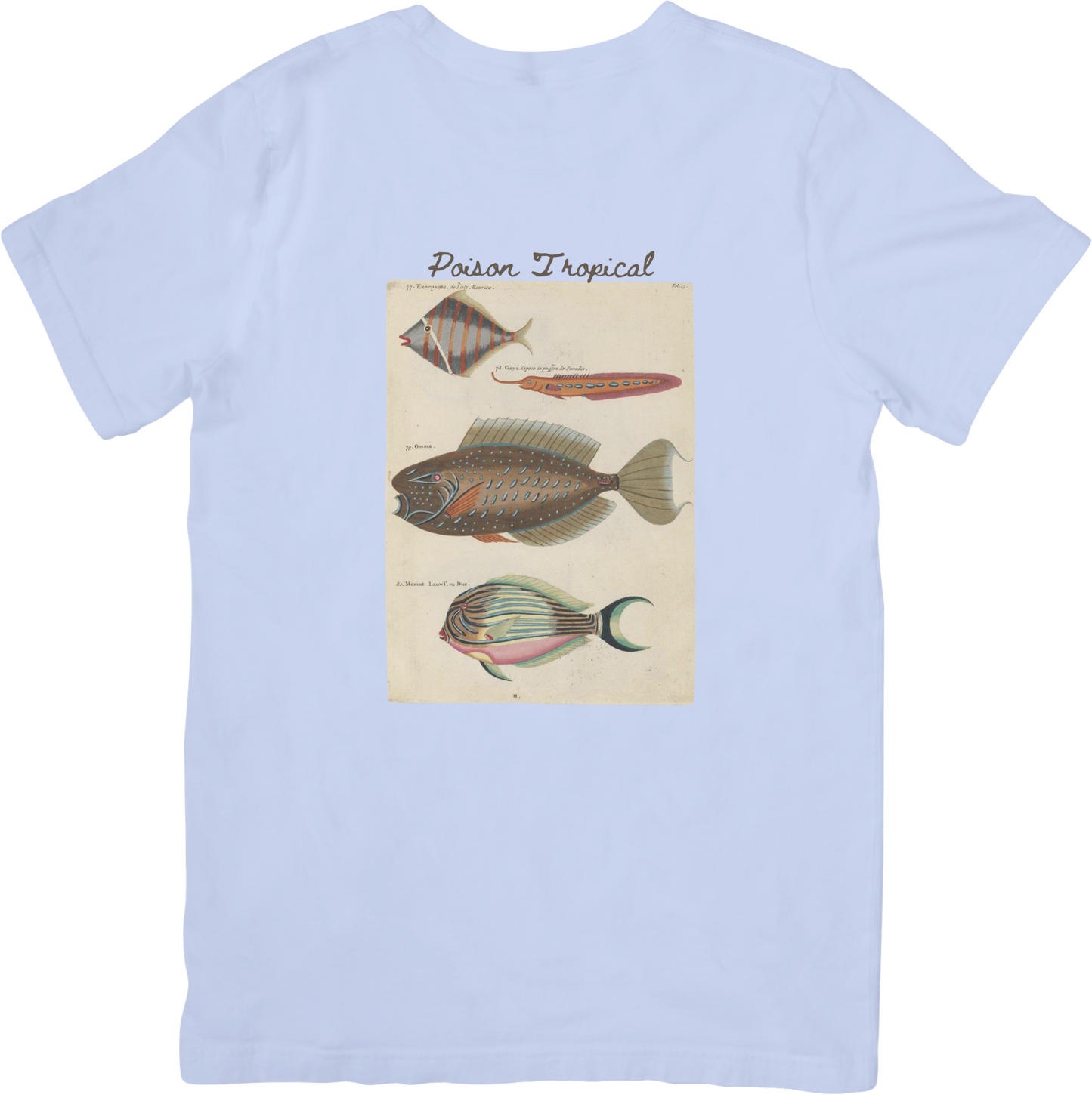 🐠LE FISH TWO TEE