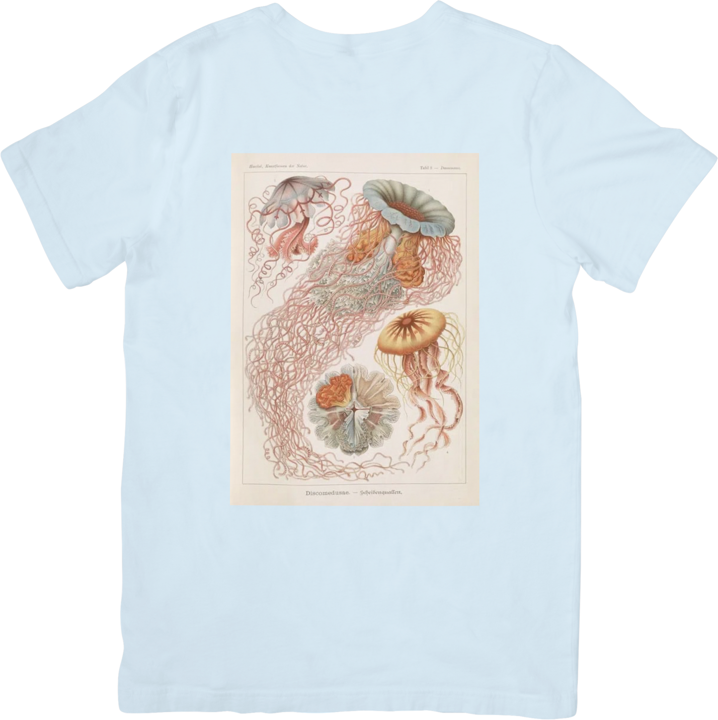 CORAL JELLY FISH TEE LITTLEBYRD