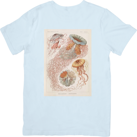 CORAL JELLYFISH TEE LADYBYRD