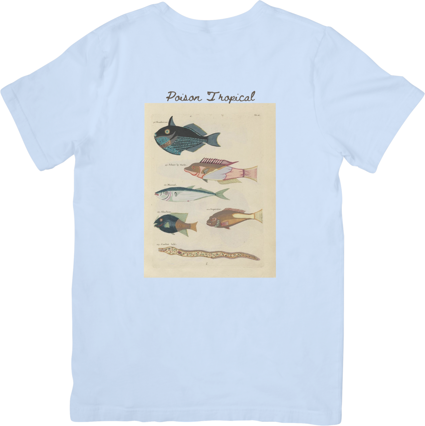 🐡LE FISH ONE TEE