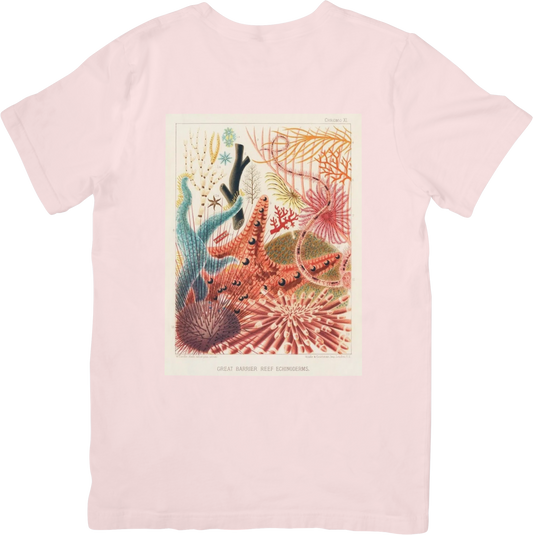 CORAL THREE TEE LADYBYRD