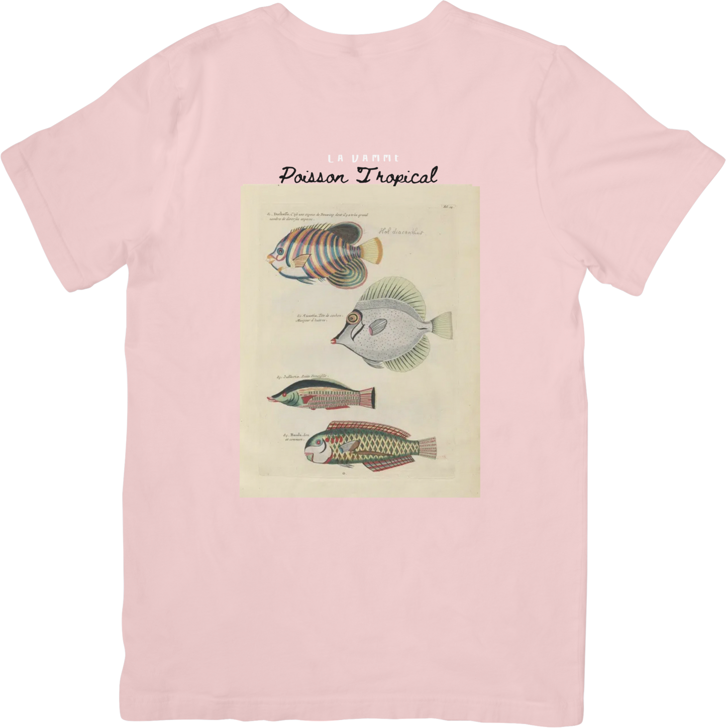 🐟LE FISH THREE TEE