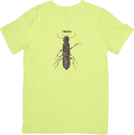 🐜LE ANT TEE