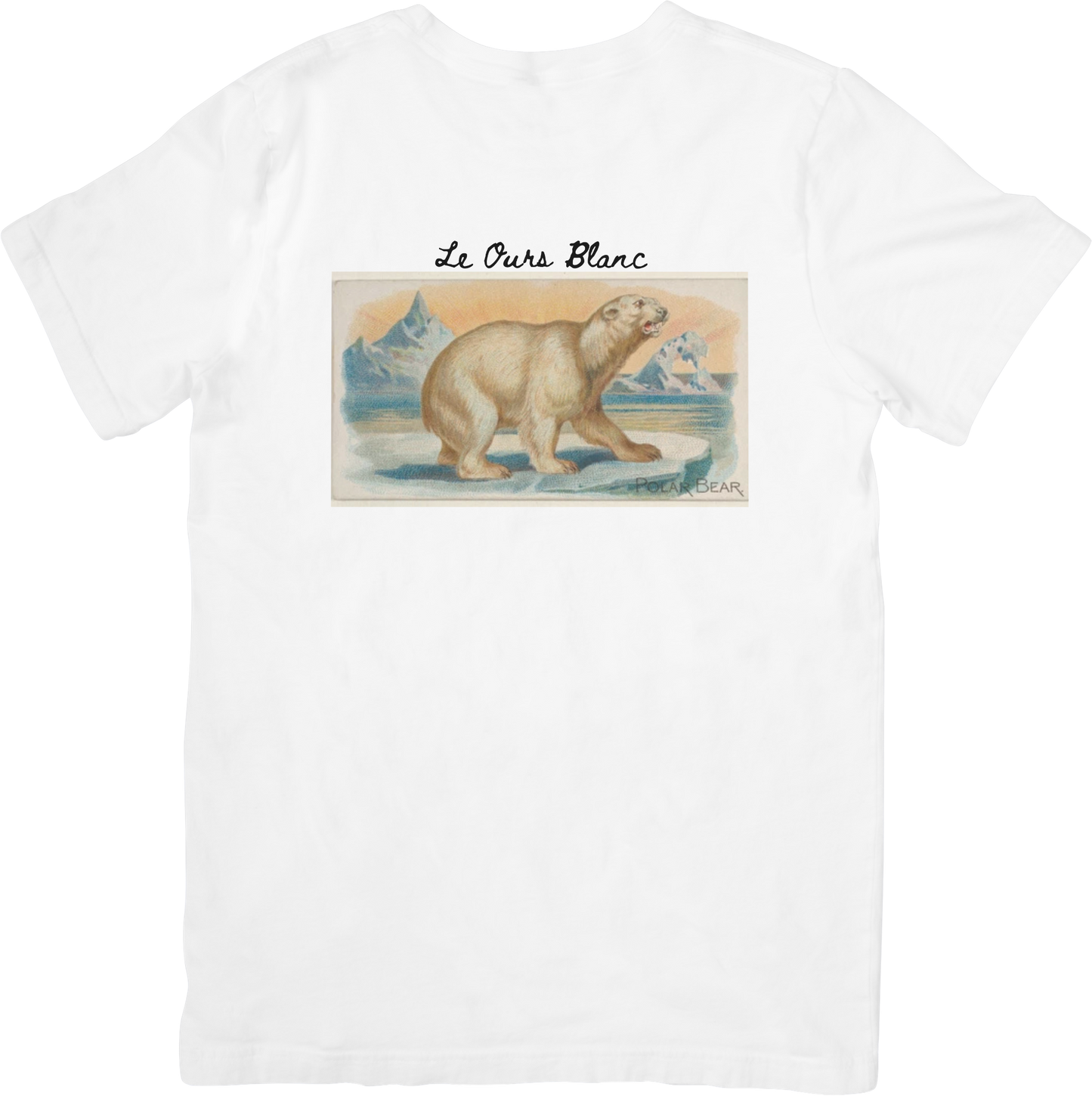 LE POLAR BEAR TEE