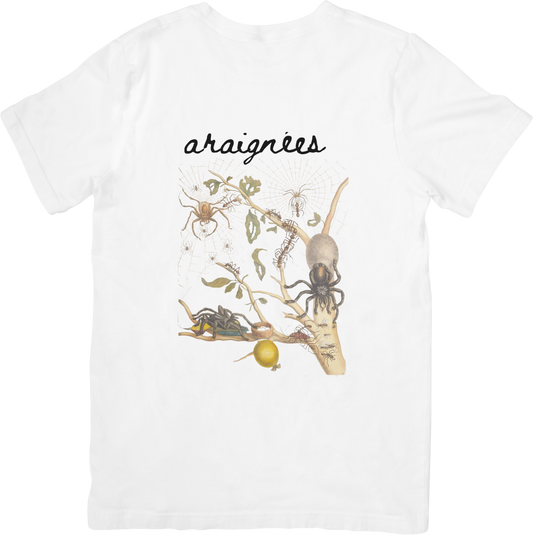 GARDEN SPIDER TEE LITTLEBYRD