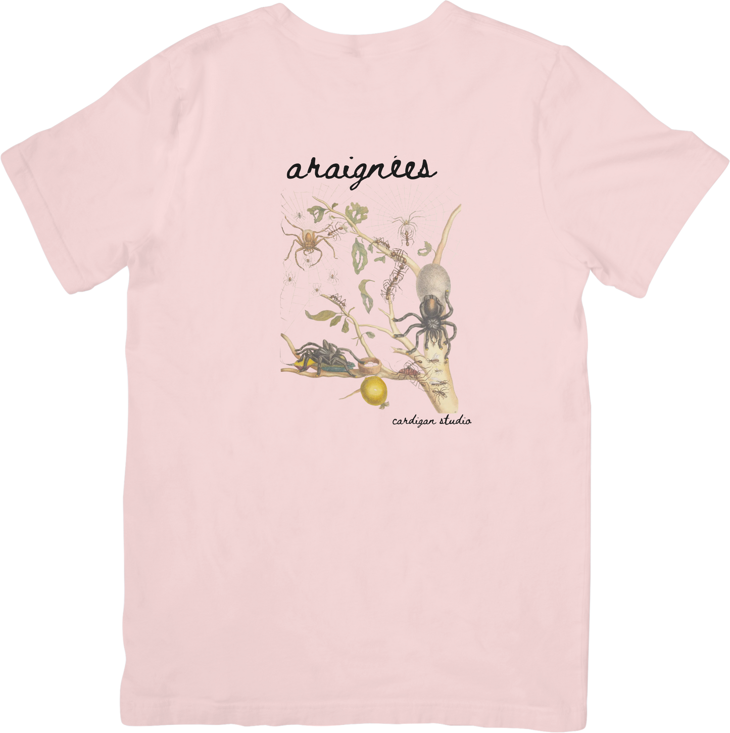 GARDEN SPIDER TEE LITTLEBYRD