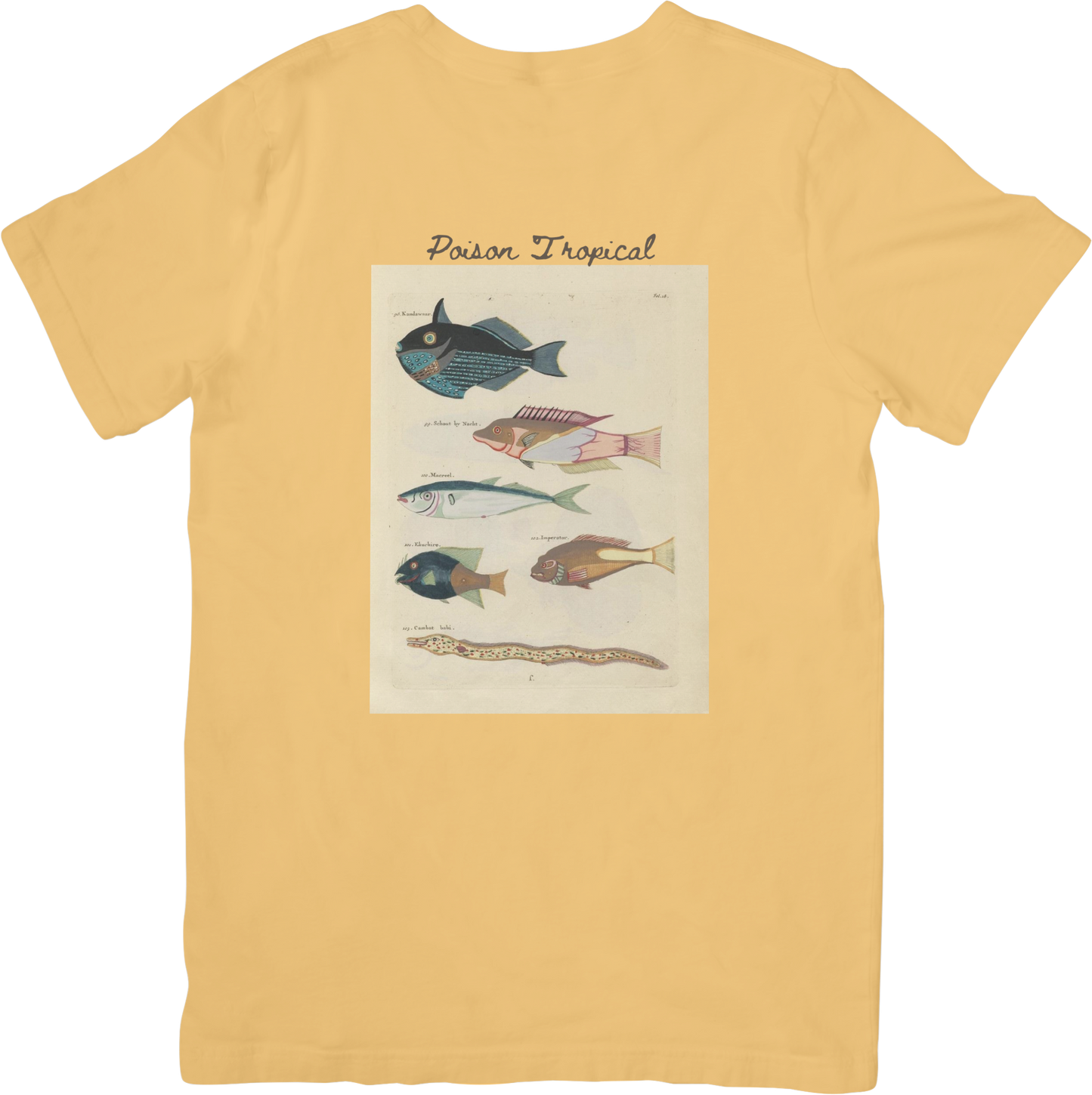 🐡LE FISH ONE TEE