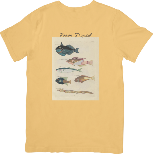 🐡LE FISH ONE TEE