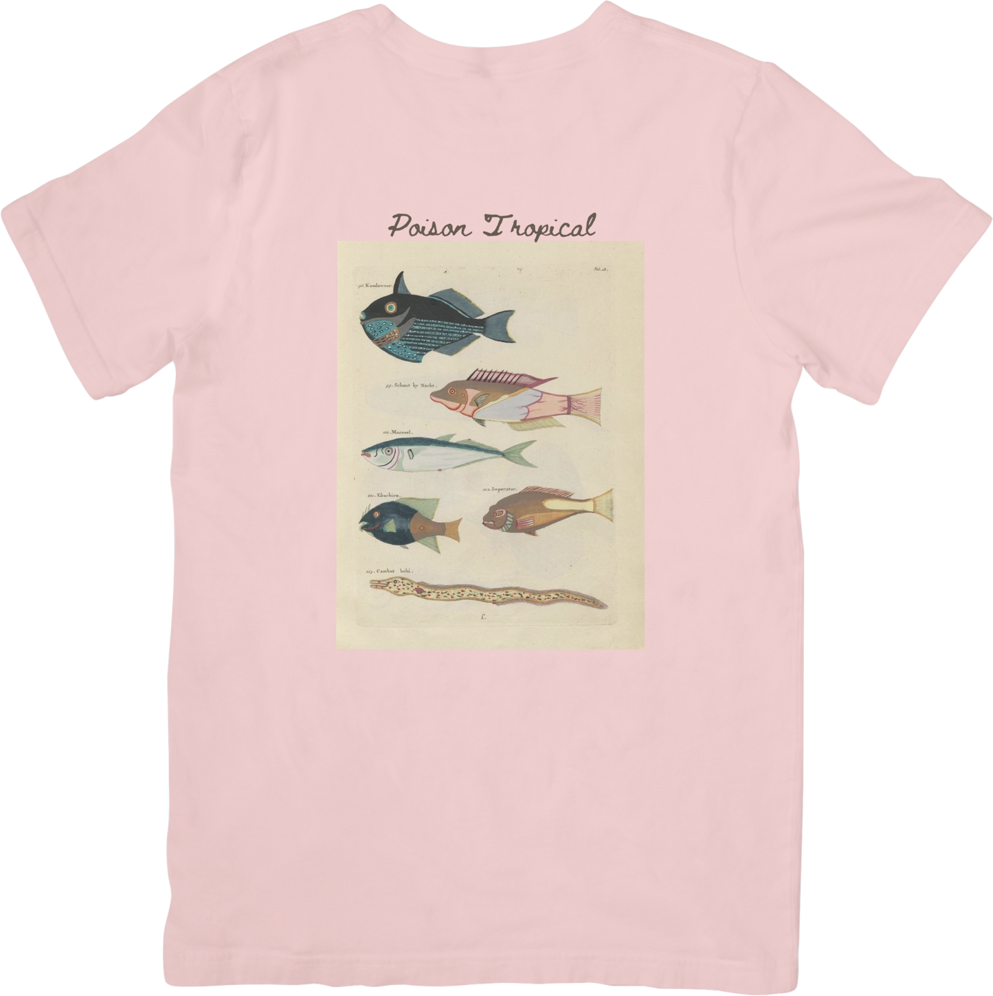 🐡LE FISH ONE TEE