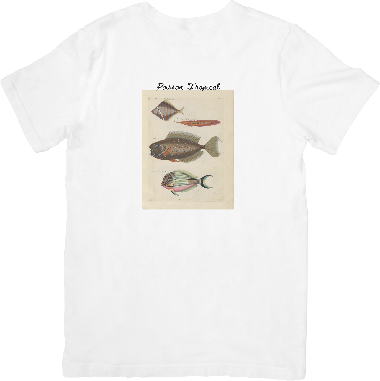 LE FISH TEE