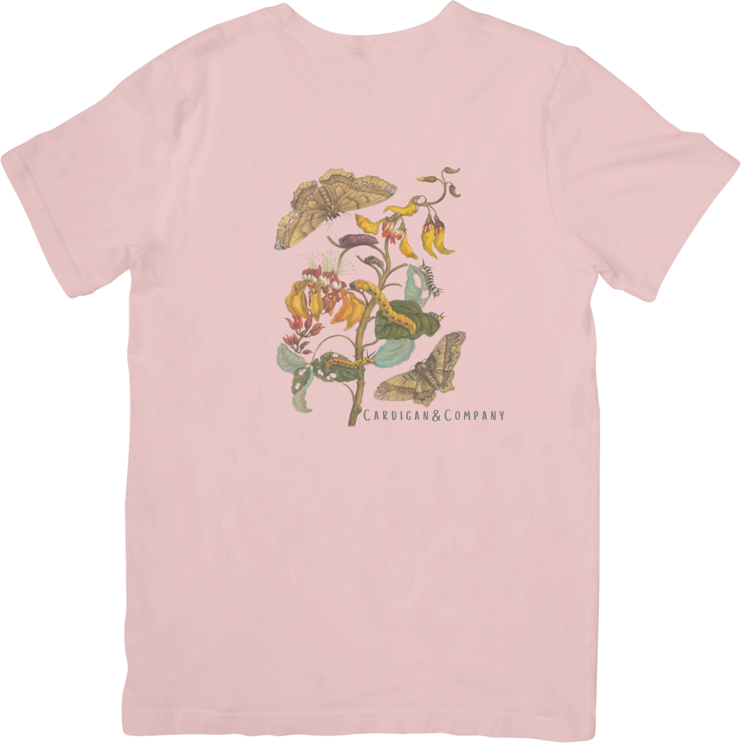 GARDEN BUTTERFLY TEE LITTLEBYRD