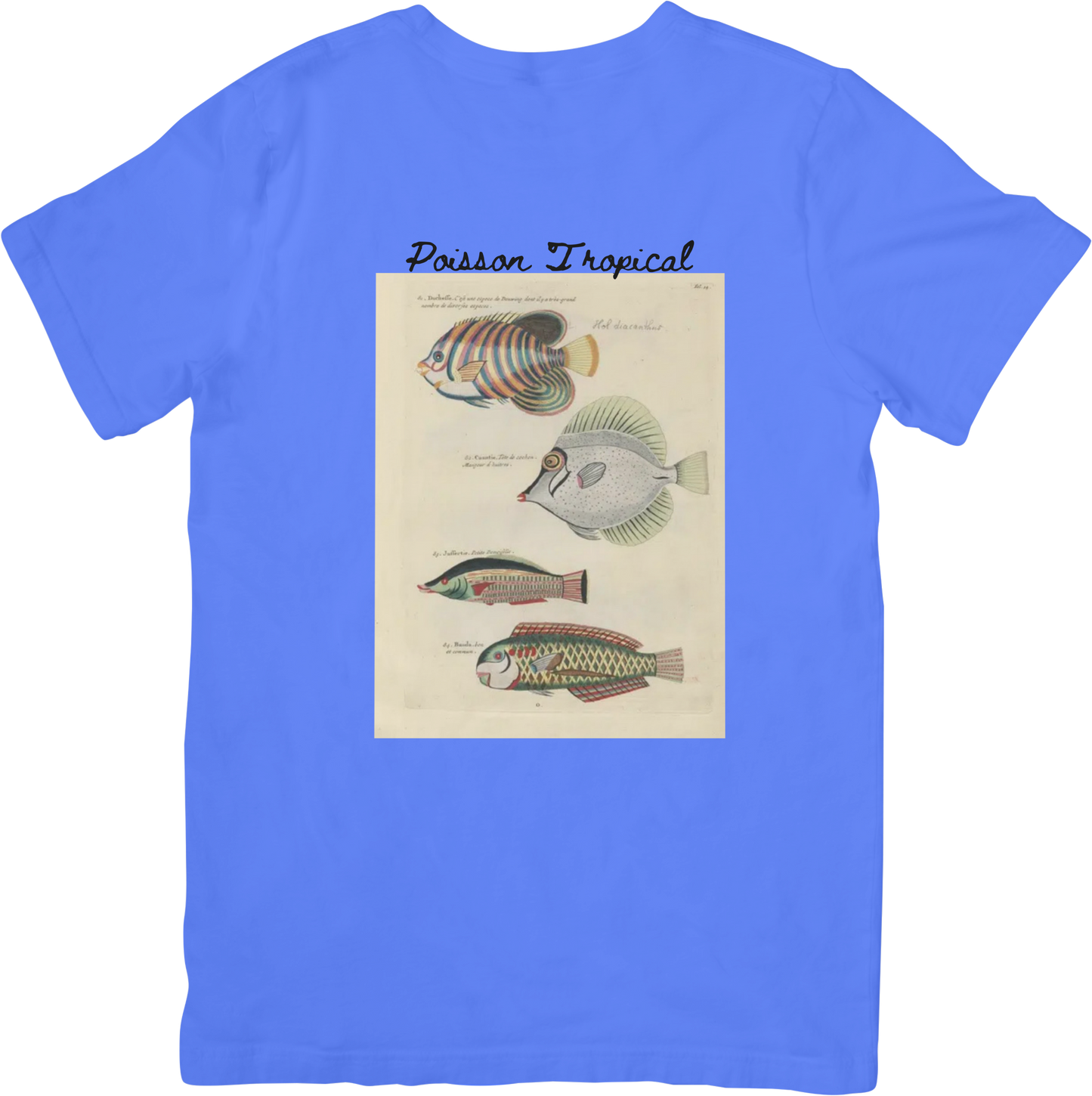 🐟LE FISH THREE TEE