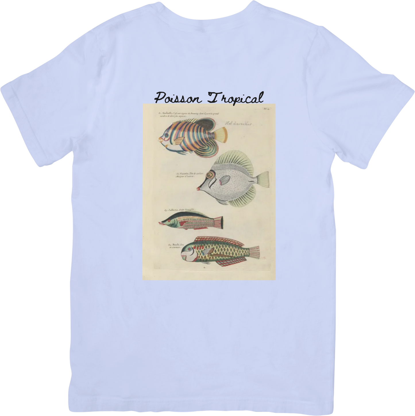 🐟LE FISH THREE TEE