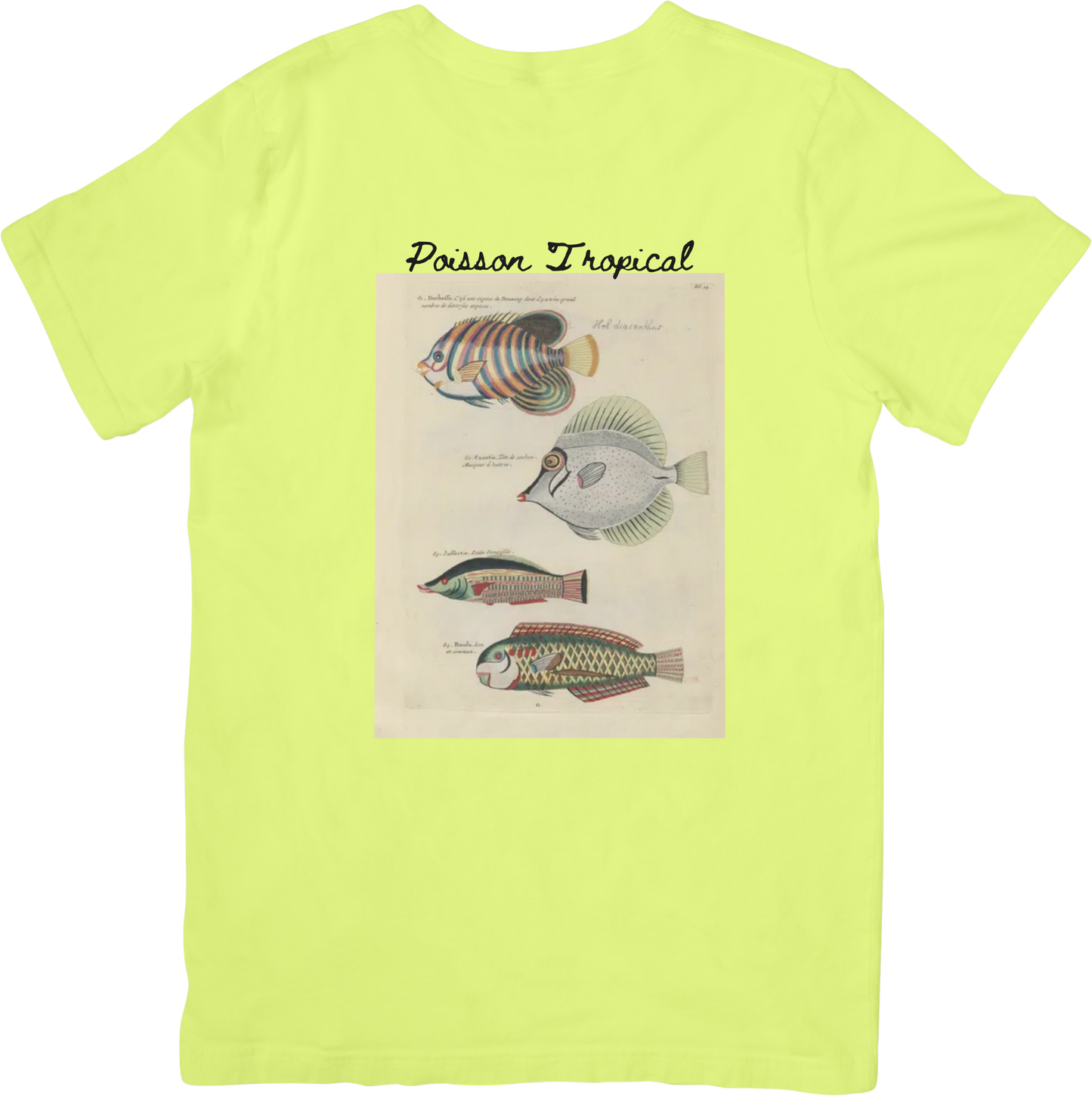🐟LE FISH THREE TEE