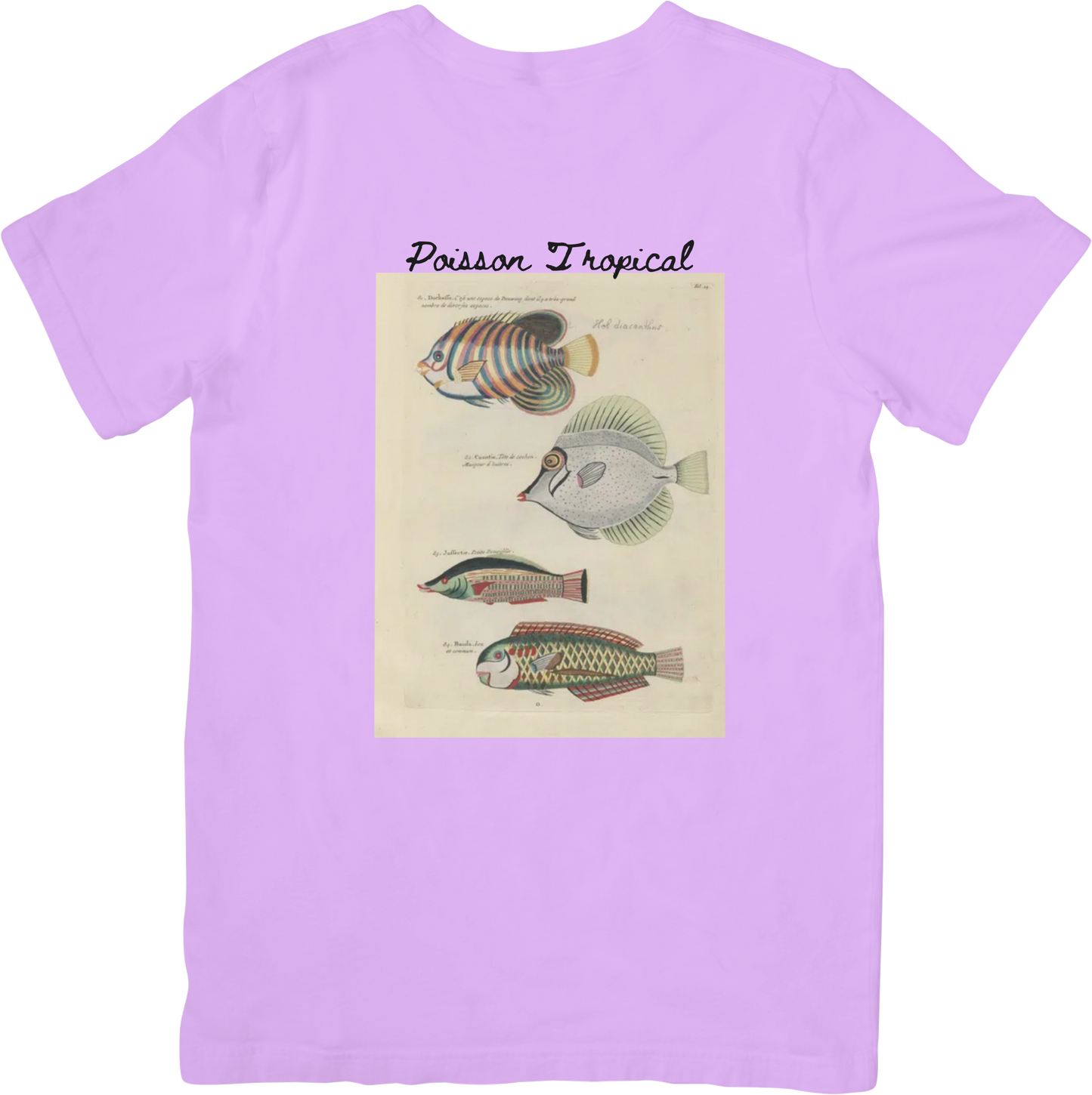 🐟LE FISH THREE TEE