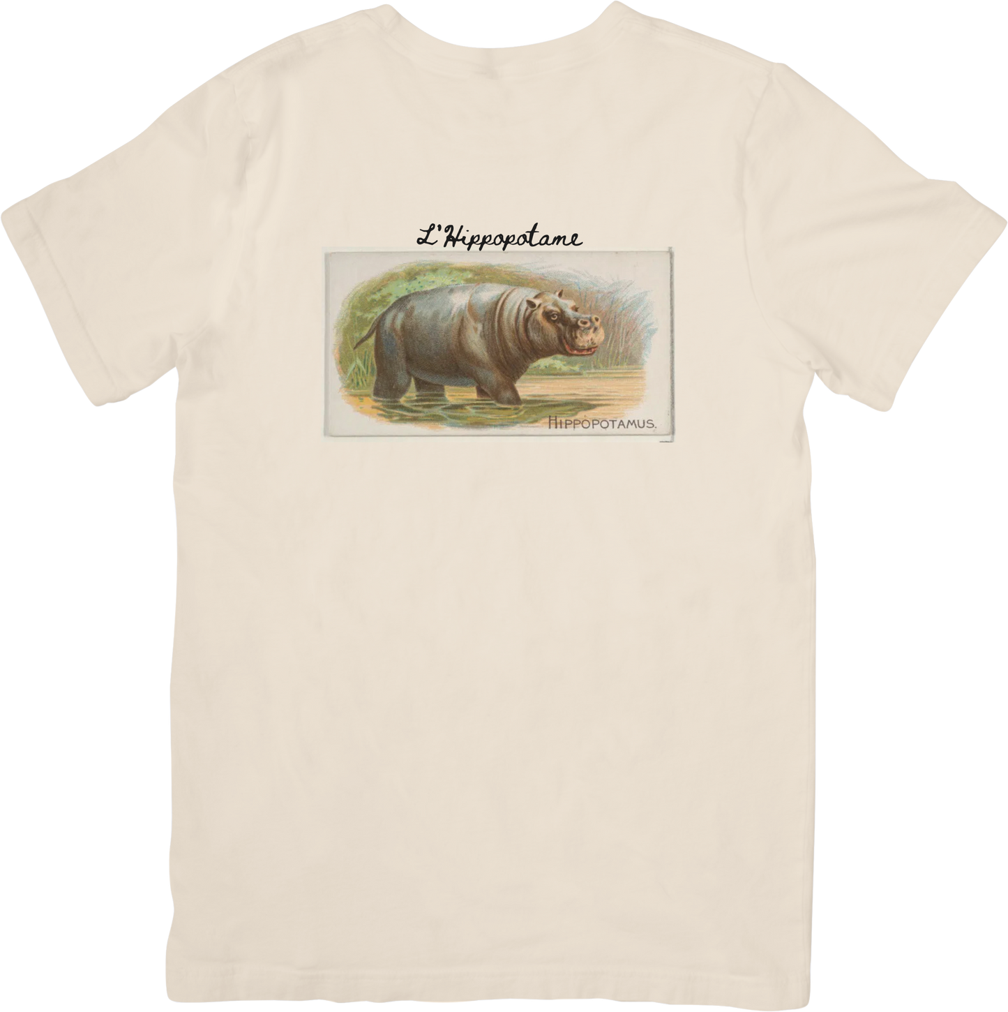 LE HIPPO TEE