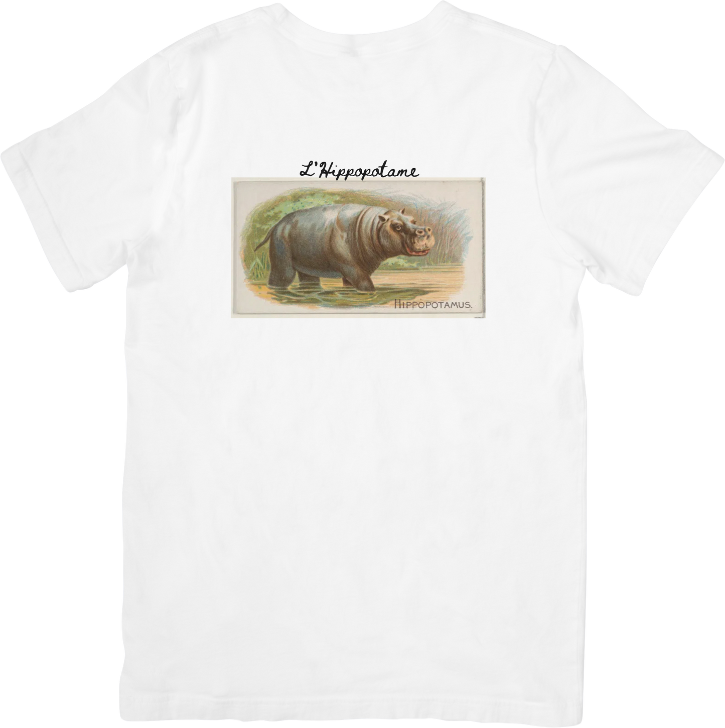 LE HIPPO TEE