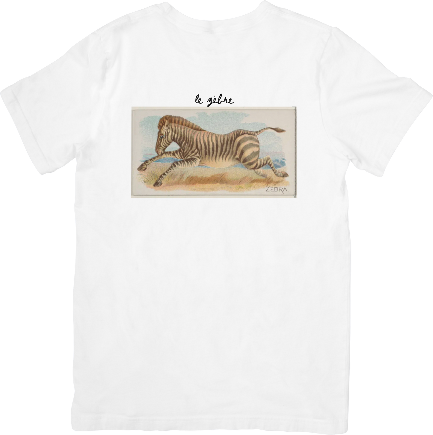 LE ZEBRA TEE