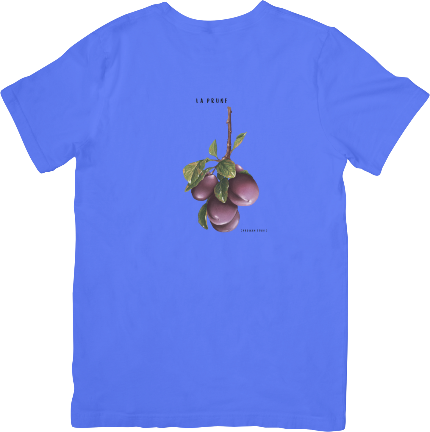 LA PLUMS TEE LITTLEBYRD