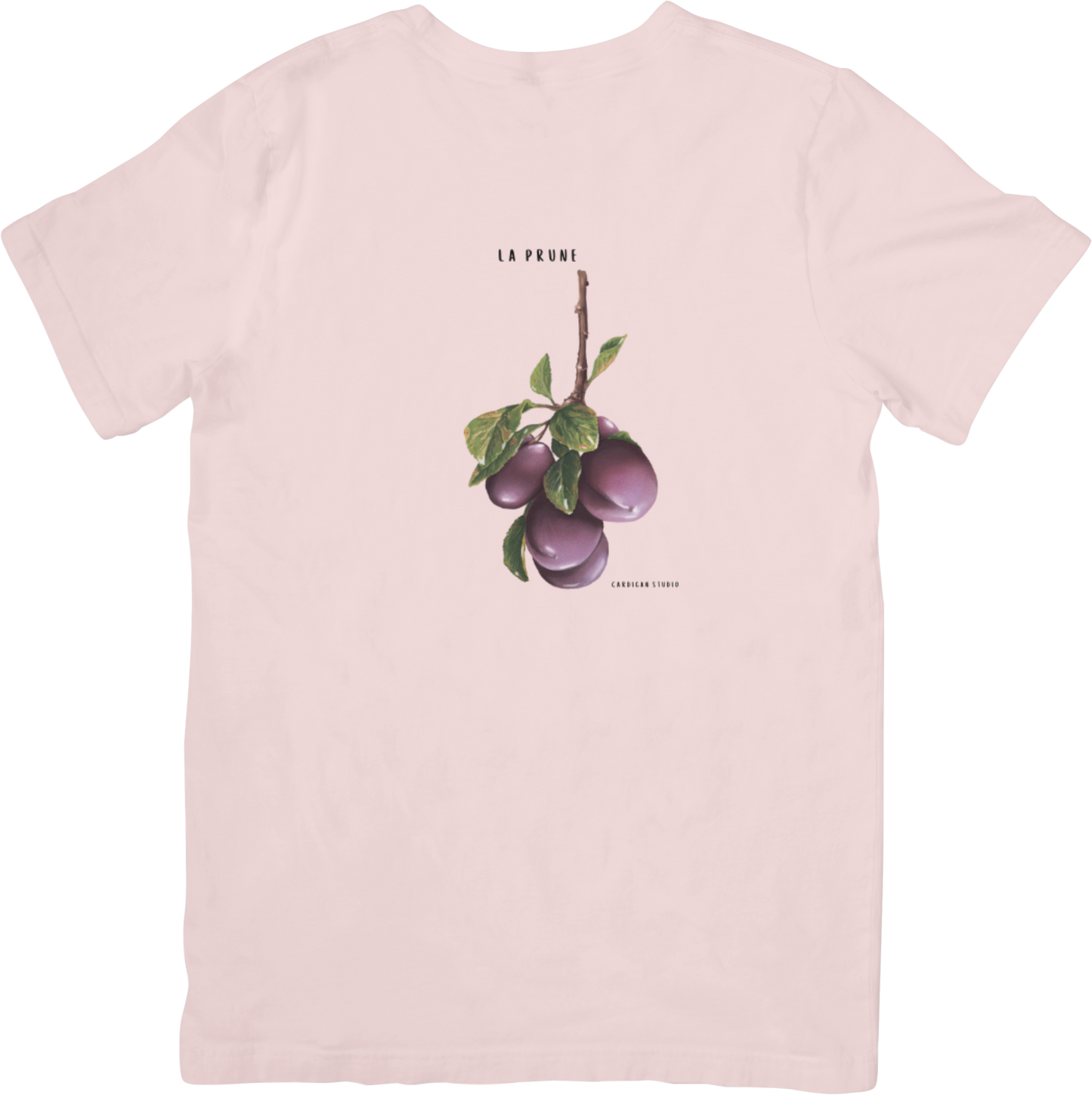 LA PLUMS TEE LITTLEBYRD