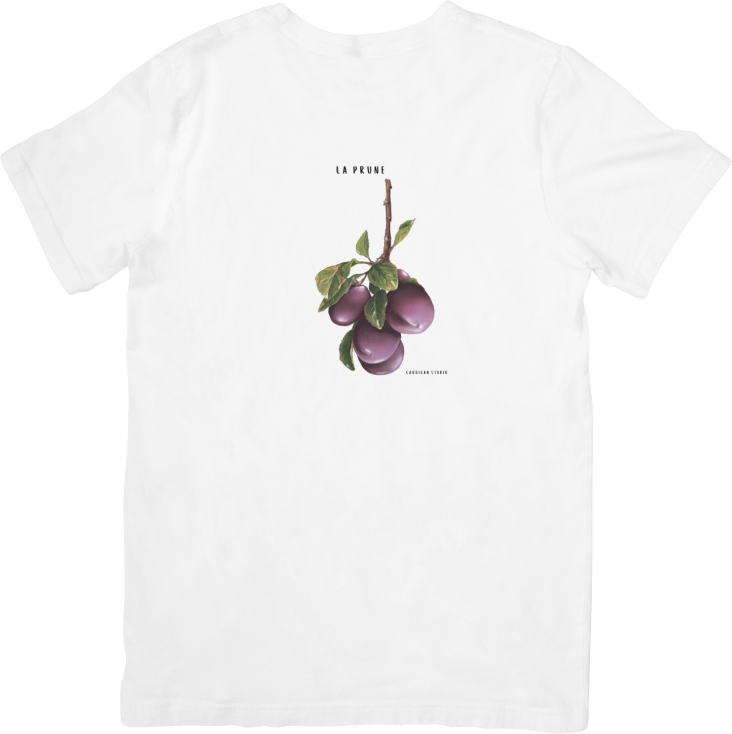 LA PLUMS TEE LITTLEBYRD
