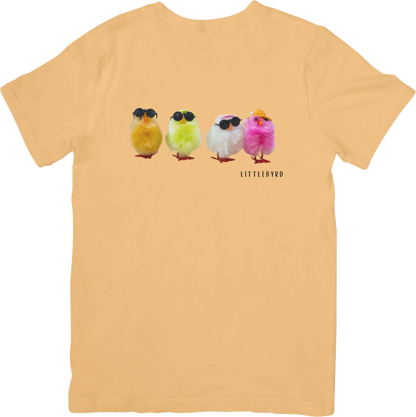 1976 RIOT CHICKS TEE